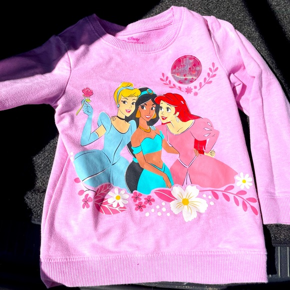 Disney Princess sweater/ tee - Picture 1 of 3